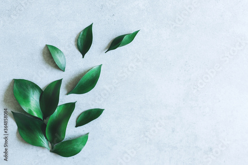 Frame made of green leaves on light textured background. Flat lay, top view. Mock up.