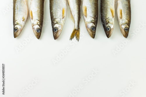 Raw fish on a white background, navaga fish, navaga, copy space.