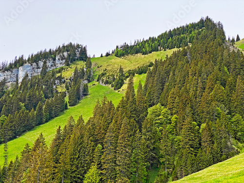 Alpine mountain hill Hörnli (Hoernli or Hornli) in the Swiss mountain range of Pilatus and in the Emmen / Kanton Obwalden, Schweiz) photo
