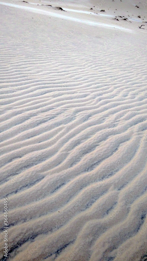 Fototapeta premium sand dunes on the beach