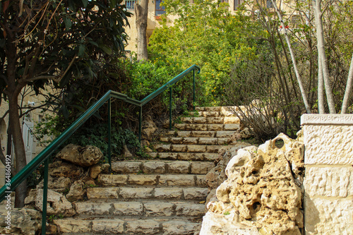 Wallpaper Mural Stairway in green neighborhood Torontodigital.ca