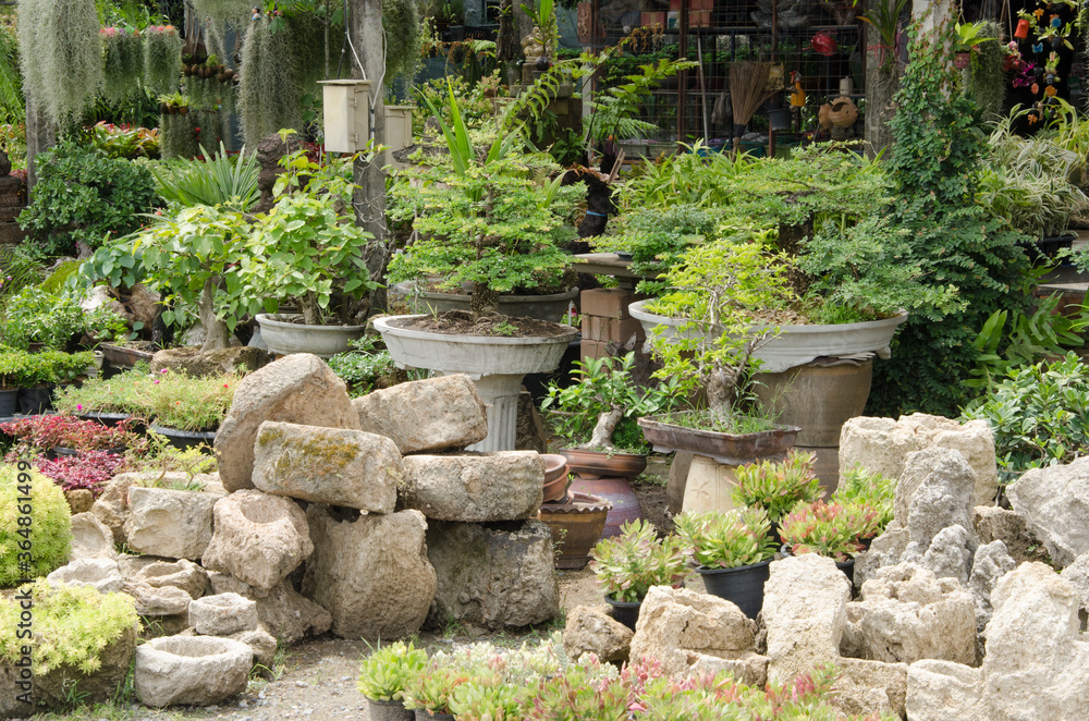 Beautiful rock garden in front of tree shop Beautiful rock garden in front of tree shop
