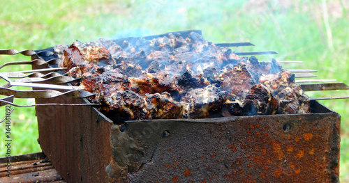 Kebab and Shashlik in the nature