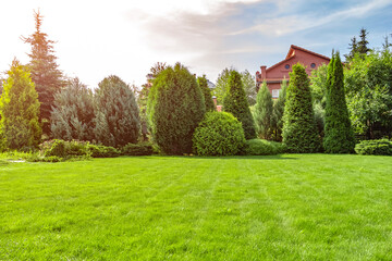 Freshly cut grass in the backyard of a private house.