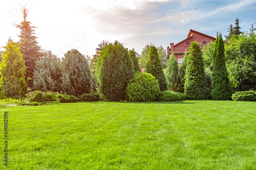 Photography Freshly cut grass in the backyard of a private house.