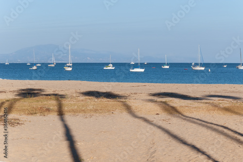 Shadows of palm trees on the sand and white boats in the blue sea