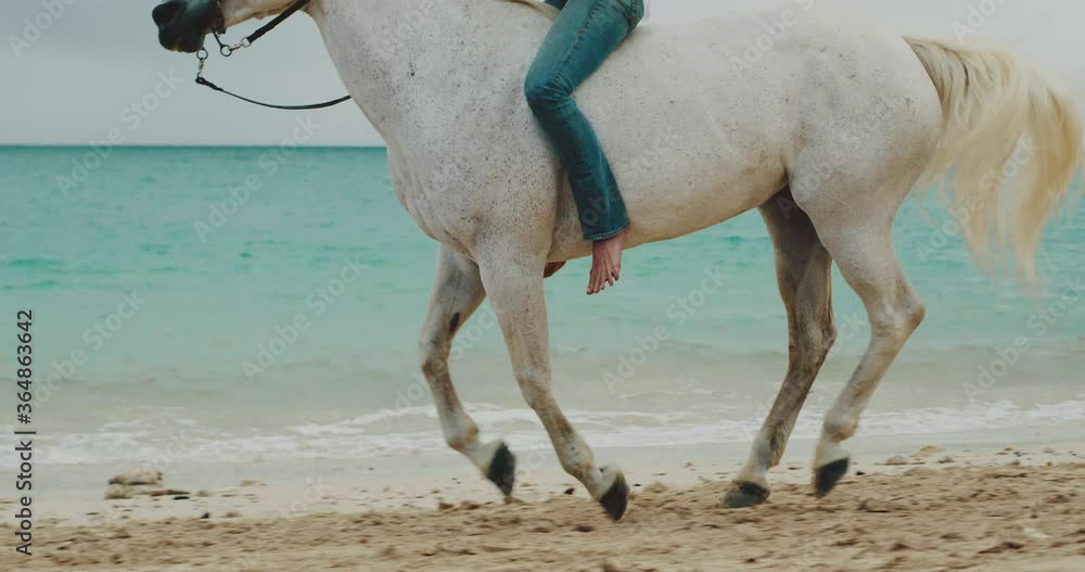 Woman horseback riding on the beach at sunrise, majestic slow motion Woman horseback riding on the beach at sunrise, majestic slow motion