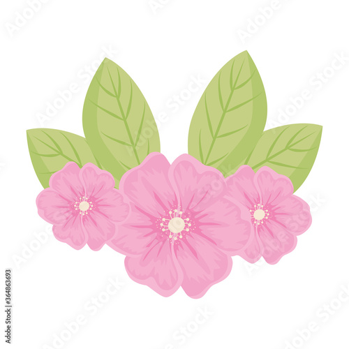 pink flowers with leaves design  natural floral nature plant ornament garden decoration and botany theme Vector illustration