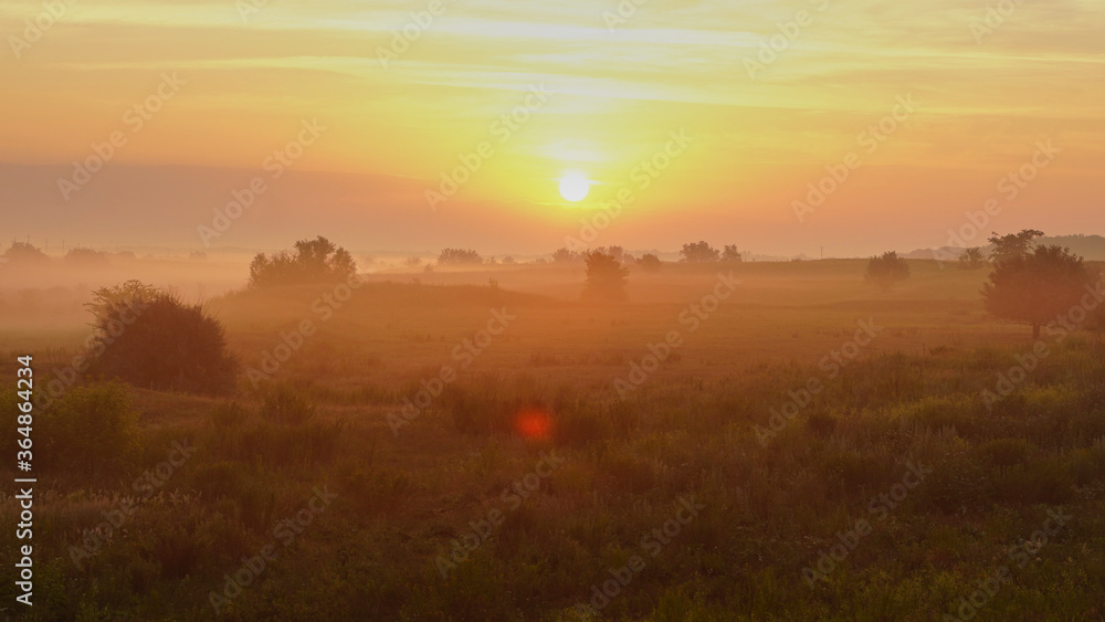 Colorful sunset over wheat field.