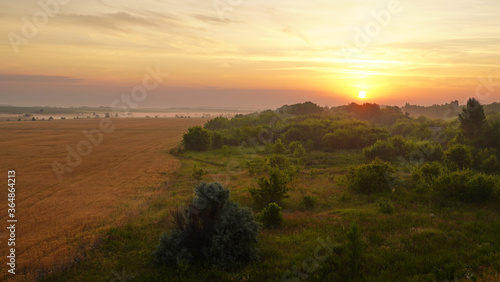 Wallpaper Mural Colorful sunset over wheat field. Torontodigital.ca
