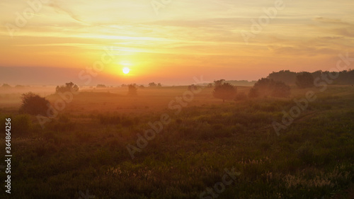 Colorful sunset over wheat field. © nikolay_alekhin