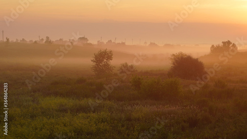 Colorful sunset over wheat field.