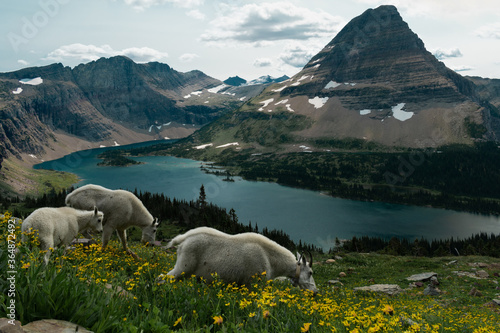 Glacier National Park Lake photo