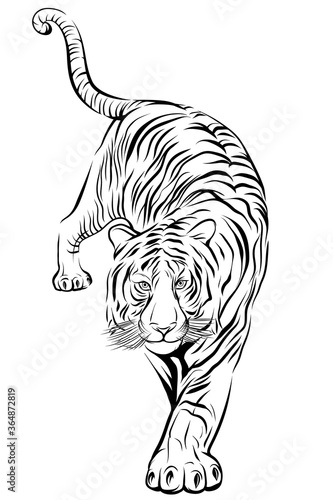 Fototapeta Naklejka Na Ścianę i Meble -  Tiger step forward on white background vector image
