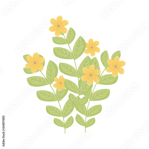 yellow flowers with leaves design  natural floral nature plant ornament garden decoration and botany theme Vector illustration