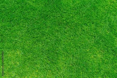 Photography Green grass texture background, Top view of grass garden Ideal concept used for making green flooring, lawn for training football pitch, Grass Golf Courses green lawn pattern textured background