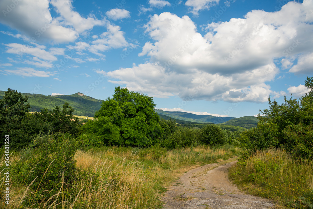 Countryside at high noon. Rural scenery with trees and fields on the rolling hills at the foot of the ridge. Countryside at high noon. Rural scenery with trees and fields on the rolling hills at the foot of the ridge.