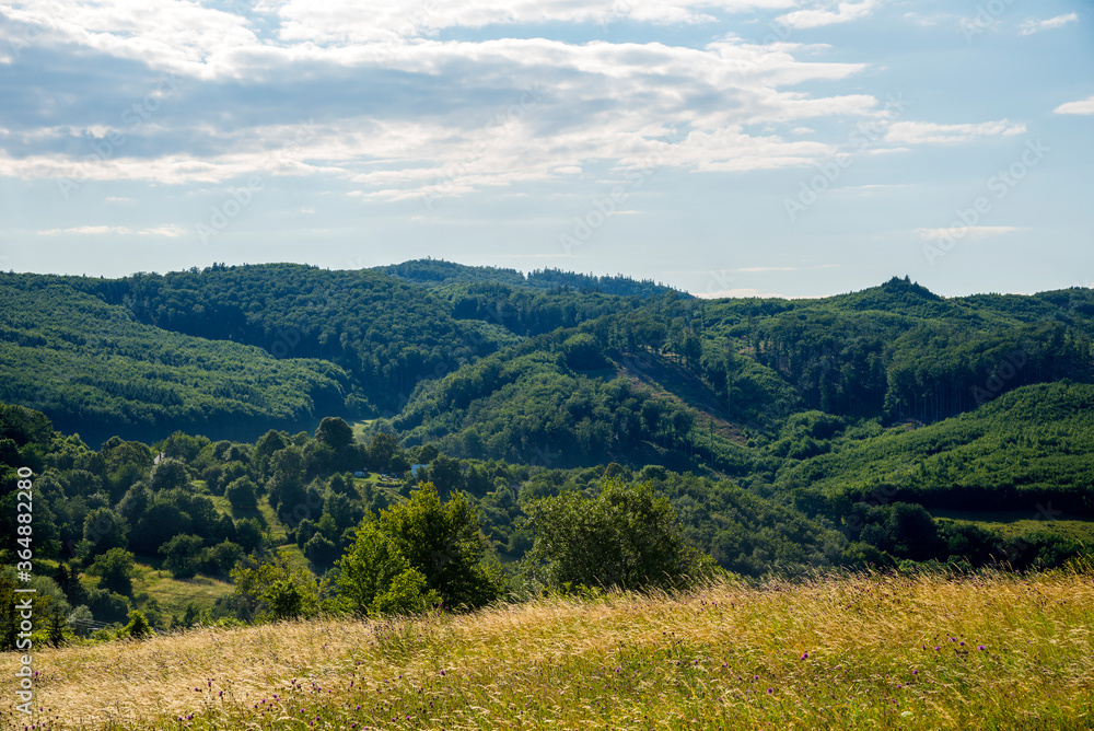 Countryside at high noon. Rural scenery with trees and fields on the rolling hills at the foot of the ridge.