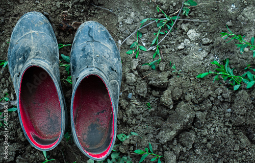 authentiс dirty rubber shoes worn for garden work flatly