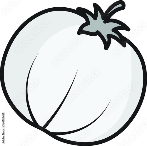 black and white tomato vegetable healthy food illustration