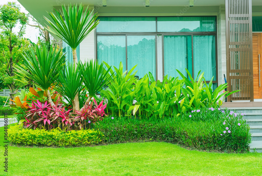 Modern house with beautiful landscaped front yard, Garden with fresh green grass both shrub and