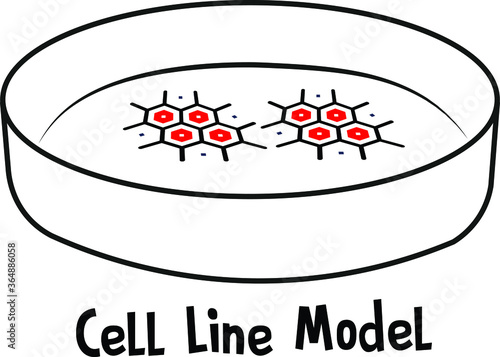 Cell line models stem cell culture engineering NSC Models of Alzheimer Disease