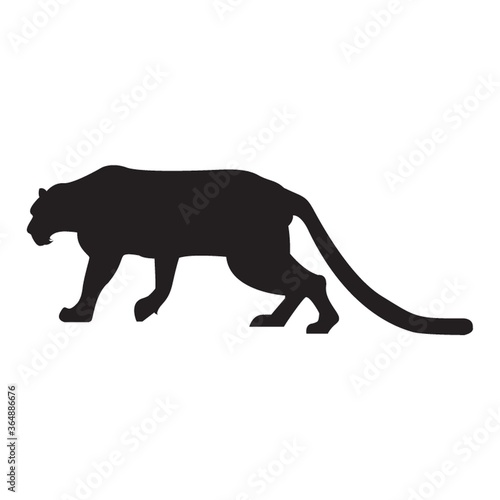 silhouette of sneaking tiger