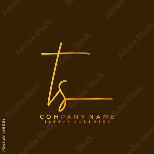 TS initials signature logo. Handwriting logo vector templates. Logo for business, beauty, fashion, signature	 photo