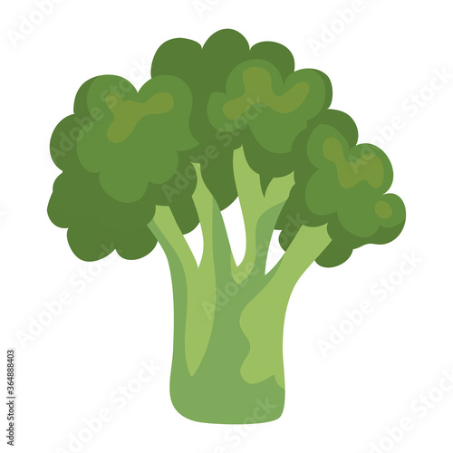 broccoli design, Vegetable organic food healthy fresh natural and market theme Vector illustration