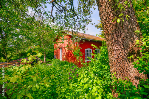 Red summer hut in a green garden © Polarpx