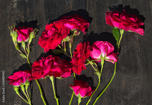 red roses on a black wooden surface in bright sunlight