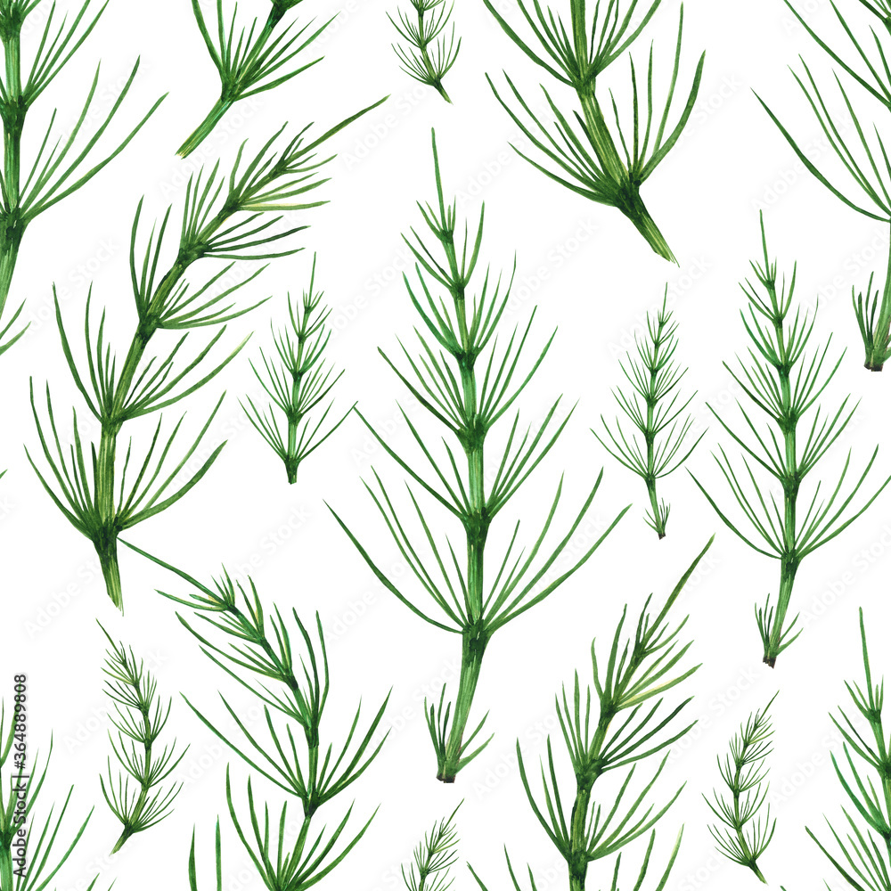Naklejka Horsetail seamless pattern. Herbal plant Equisetum arvense isolated on white background. Watercolor hand drawing illustration. Perfect for wallpaper, backdrop, wrapping, medical design.