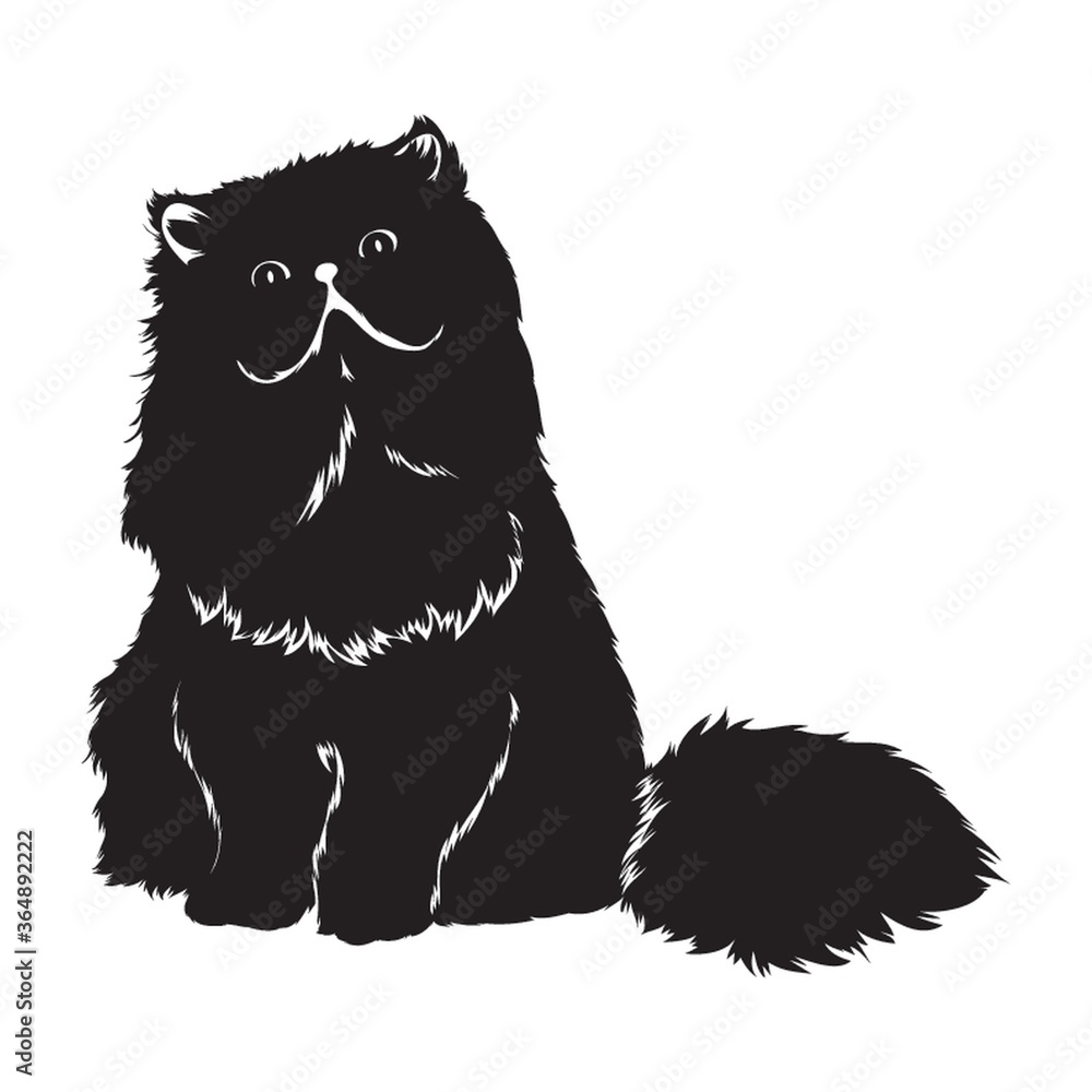 Fototapeta premium silhouette of cat