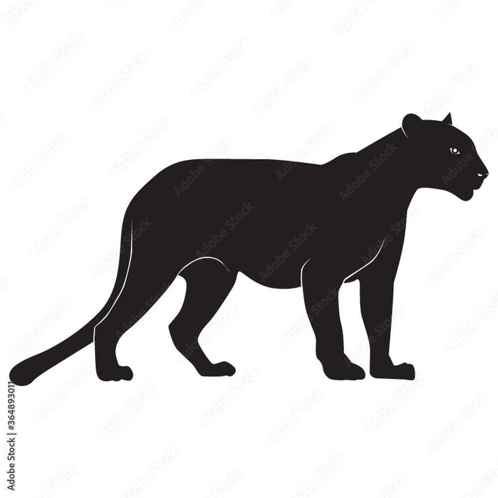silhouette of cheetah