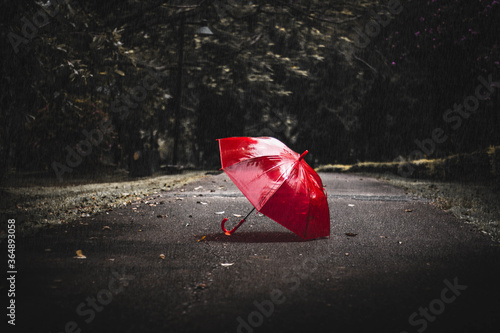Fototapeta Naklejka Na Ścianę i Meble -  Red umbrella on a street in The park .