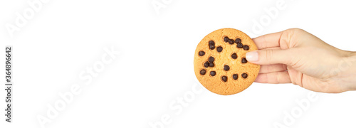 Hand with homemade cookie and chocolate drops. Isolated on white background. Copy space template, banner.