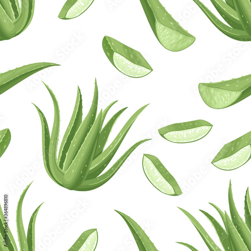 Seamless pattern with aloe vera plant, leaves and slices. Vector illustration of a medicinal plant on a white background. Cartoon flat style.