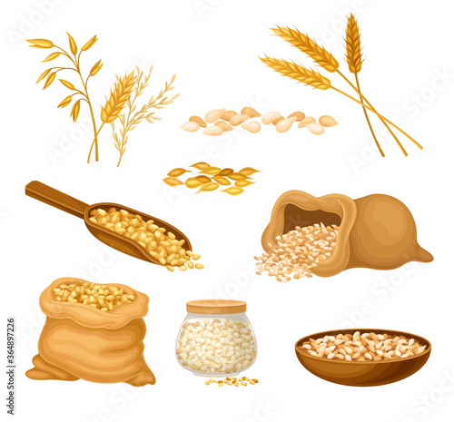 Cereals or Grain Crops with Dry Seeds in Sack Vector Set