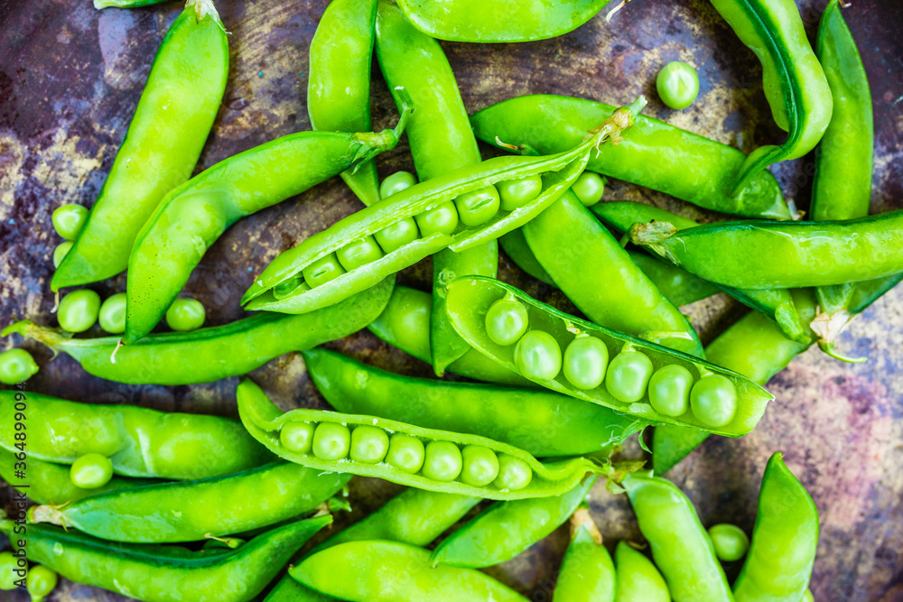 Freshly harvested green pea pods. Freshly harvested green pea pods.