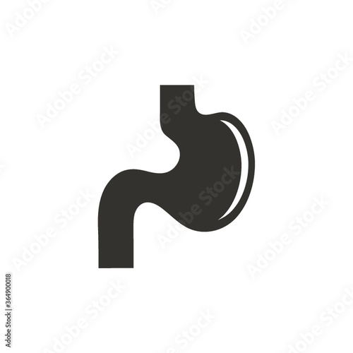 stomach