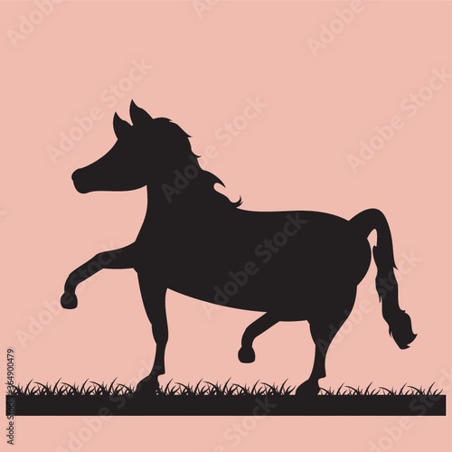 silhouette of horse