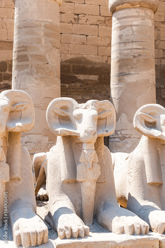 Ram-headed sphinxes with pharaoh figure on avenue in Karnak Temple Complex, Luxor, Egypt photo