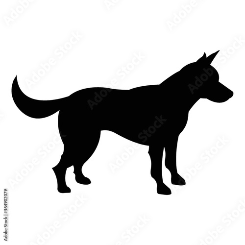 silhouette of dog