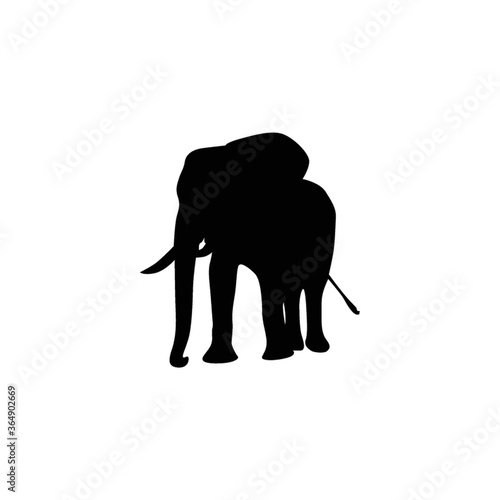 silhouette of elephant