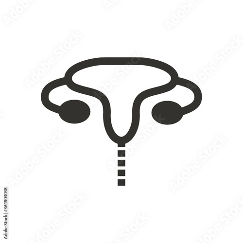 female reproductive system