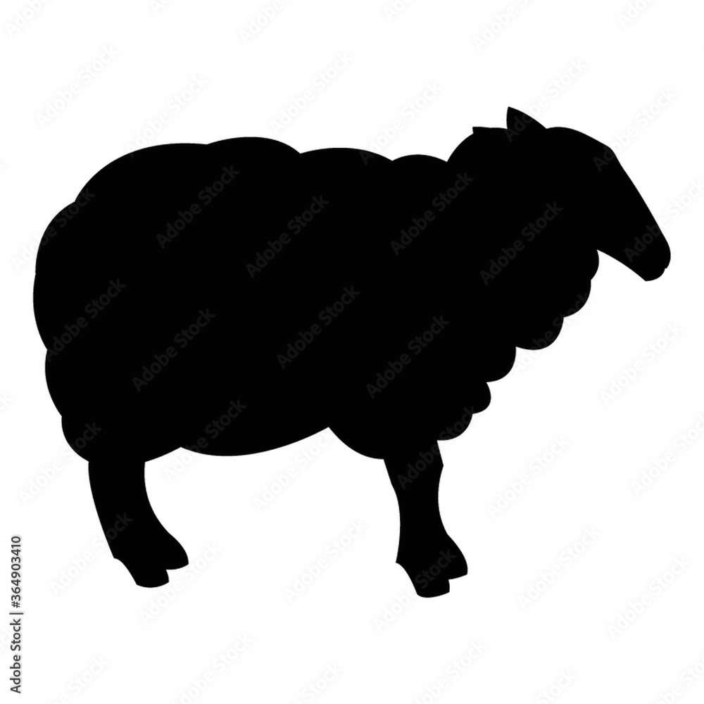 Obraz premium silhouette of sheep