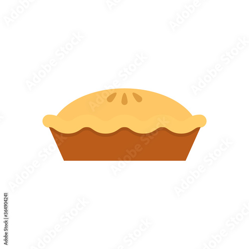 Pie flat, pie slice icon, cheese slice icon, vector illustration isolated on white background