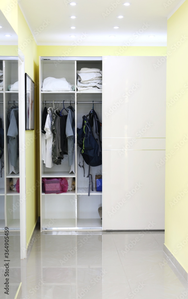 Apartment, house interior hallway with full cabinet, wardrobe and wall mirror Apartment, house interior hallway with full cabinet, wardrobe and wall mirror