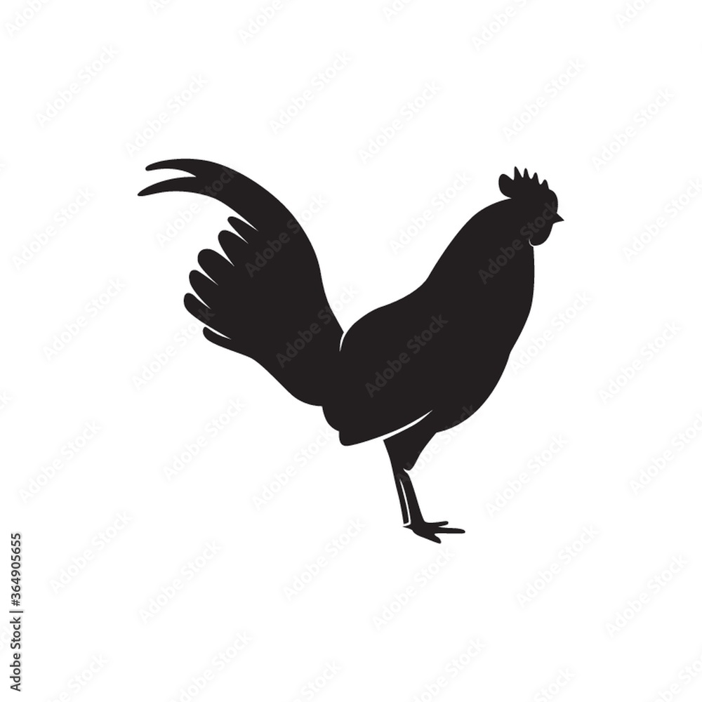 Fototapeta premium silhouette of a rooster