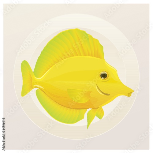 yellow tang